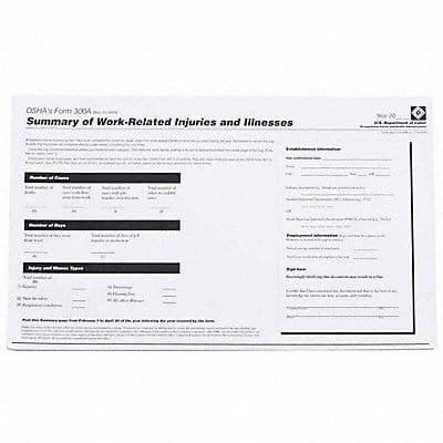 Forms OSHA 300A Log