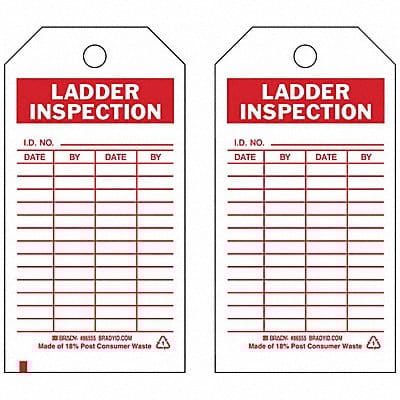 Lad Inspection Tag 5-3/4 x 3 In PK10