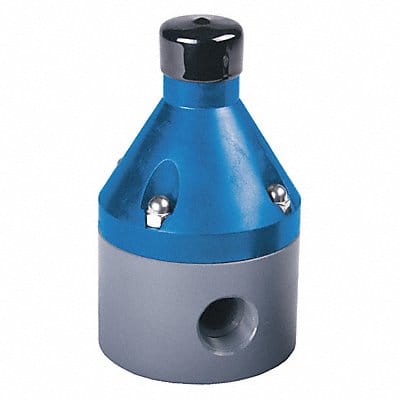 Pressure Valve 1 Pipe 250 psi PVDF Pressure Valve 1 Pipe 250 psi PVDF