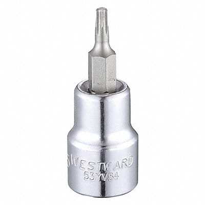 Socket Bit Steel 3/8 in TpSz T15