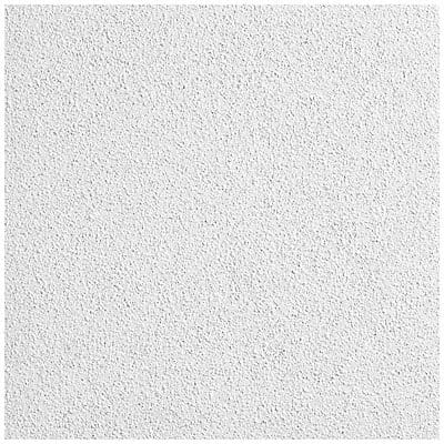 Ceiling Tile 24 in L 24 in W PK32
