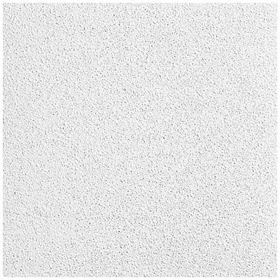 Ceiling Tile 48 in L 24 in W PK12 Ceiling Tile 48 in L 24 in W PK12