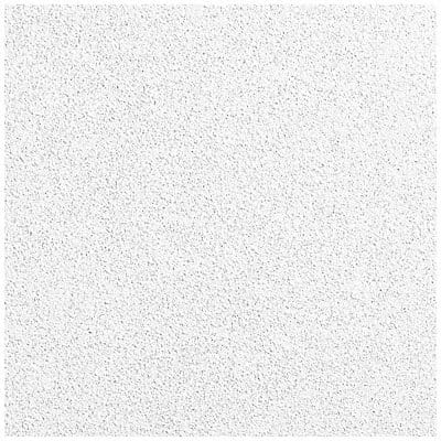 Ceiling Tile 24 in L 24 in W PK12