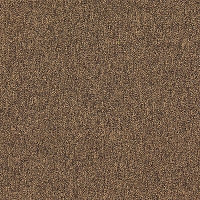 Carpet Tile 19-11/16in. L Coffee PK20