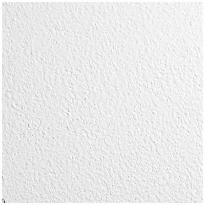 Ceiling Tile 48 in L 24 in W PK12