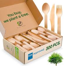 Disposable Individual Cutlery